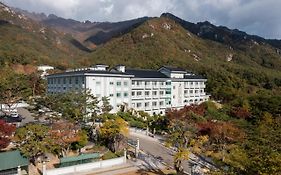 Hotel Gaya