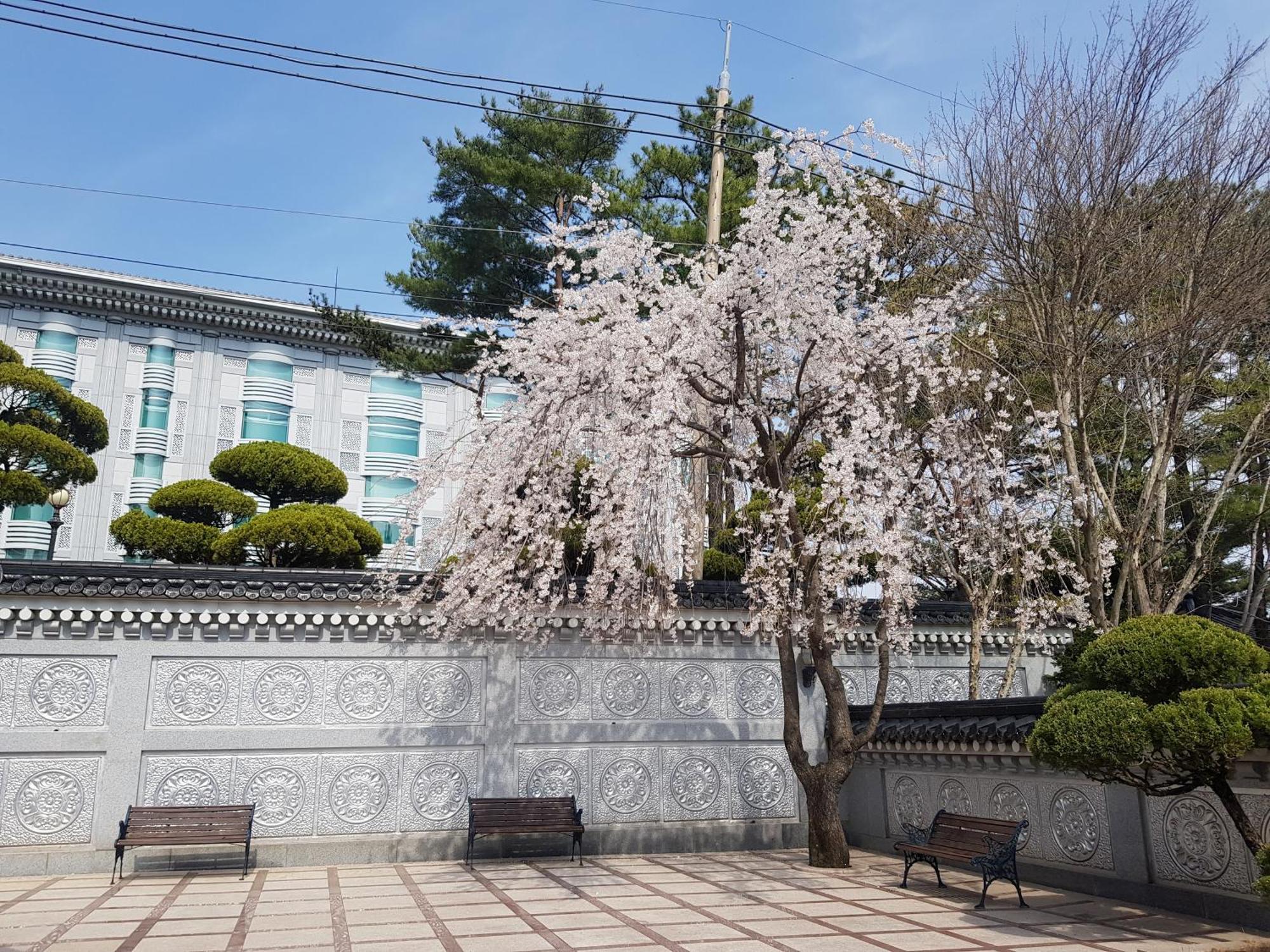 Hotel Gaya Seongju Exterior photo